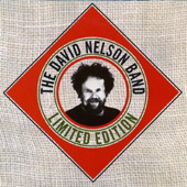 David Nelson Band