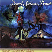 David Nelson Band